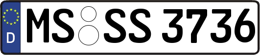 MS-SS3736