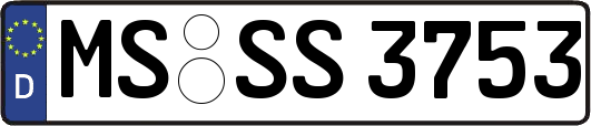 MS-SS3753