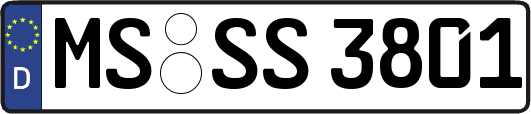 MS-SS3801