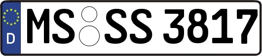 MS-SS3817