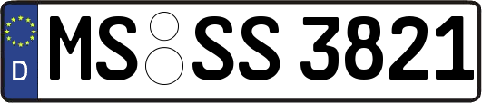 MS-SS3821