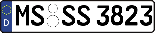 MS-SS3823