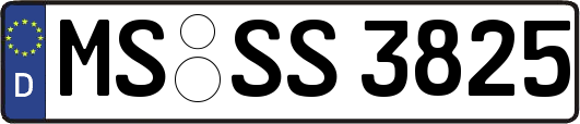 MS-SS3825