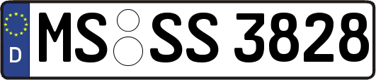 MS-SS3828