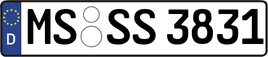 MS-SS3831