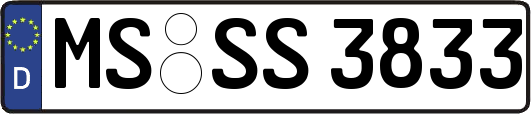 MS-SS3833