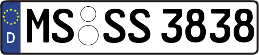MS-SS3838