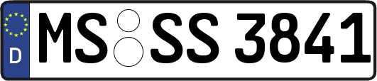 MS-SS3841