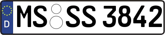 MS-SS3842