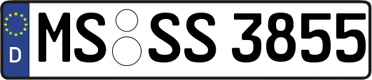 MS-SS3855