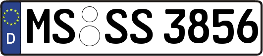 MS-SS3856