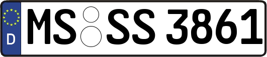 MS-SS3861