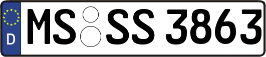 MS-SS3863