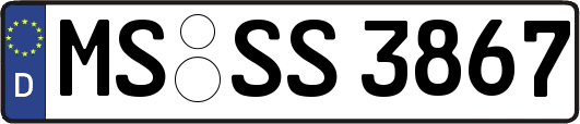 MS-SS3867
