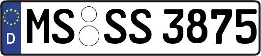 MS-SS3875