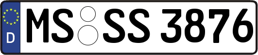 MS-SS3876