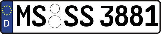 MS-SS3881