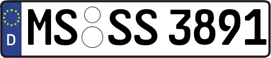 MS-SS3891