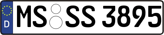 MS-SS3895