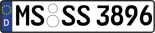 MS-SS3896