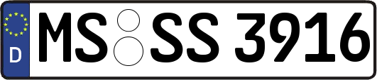 MS-SS3916