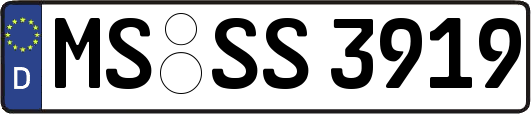 MS-SS3919