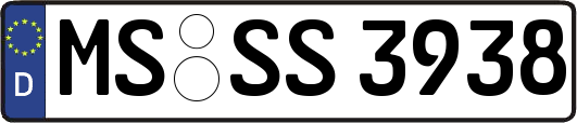 MS-SS3938