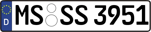 MS-SS3951