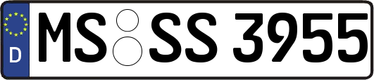MS-SS3955