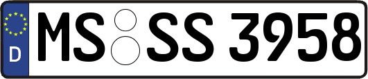 MS-SS3958