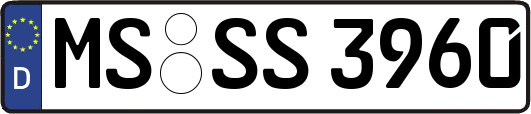 MS-SS3960