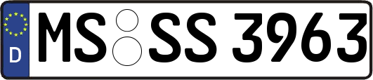 MS-SS3963