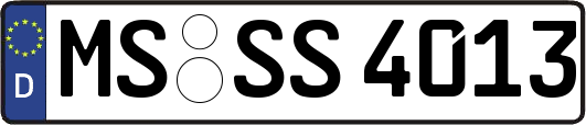 MS-SS4013