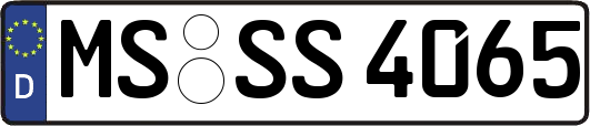 MS-SS4065