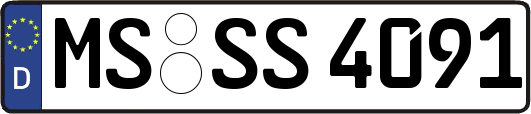 MS-SS4091