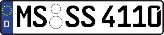 MS-SS4110