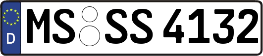 MS-SS4132