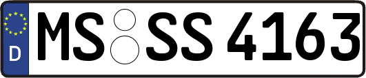 MS-SS4163