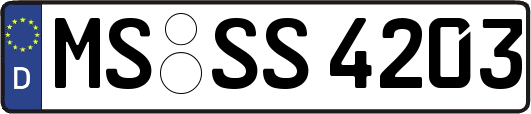 MS-SS4203
