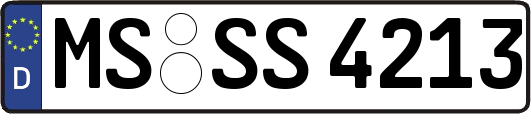 MS-SS4213