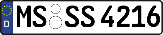 MS-SS4216