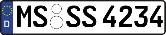 MS-SS4234