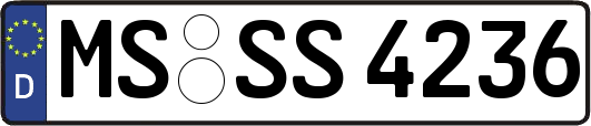 MS-SS4236