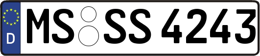 MS-SS4243