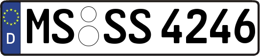 MS-SS4246
