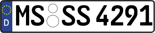 MS-SS4291