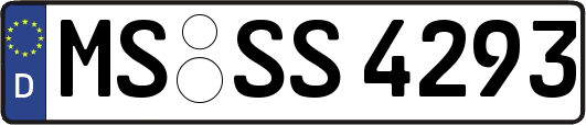 MS-SS4293