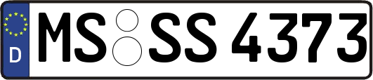 MS-SS4373