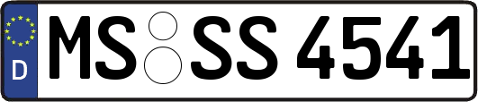 MS-SS4541
