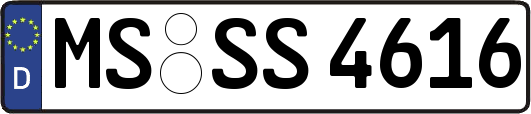 MS-SS4616